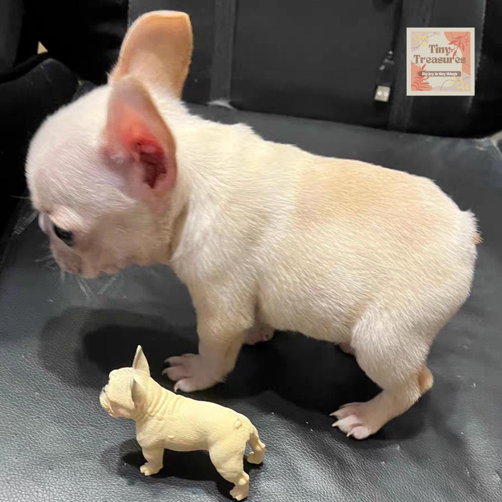 Miniature French Bulldog Figurines – Standing & Sleeping Dog, 1:12 Scale Dollhouse Decor, Collectible Tiny Pet Model