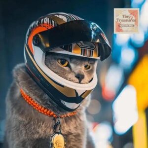 Mini Motorcycle Helmet for Cats & Small Dogs | 9 Styles Pet Biker Helmet | Adjustable Pet Helmet for Small Pets / Collectibles